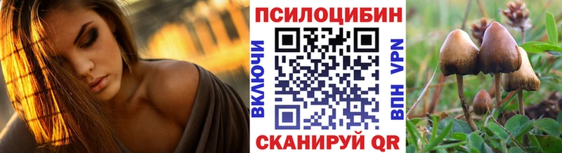 Галлюциногенные грибы MAGIC MUSHROOMS  omg рабочий сайт  Дальнереченск 