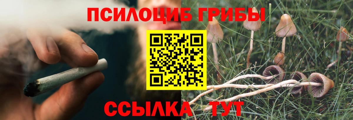 Галлюциногенные грибы Psilocybe  Псилоцибиновые грибы Cubensis  Дальнереченск  Вход с VPN 